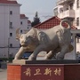 长兴前卫社区ico