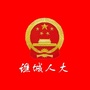 谯城人大ico