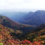 延安市桥山国有林管理局ico