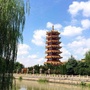 七宝教寺ico