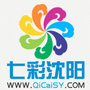 七彩沈阳公众号ico