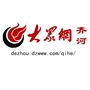 大众网齐河ico
