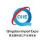 青岛进口博览会ico