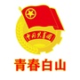 白山共青团ico