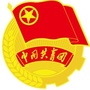 青春河东ico