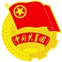青春尼木ico