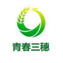 青春三穗ico