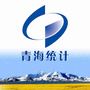 青海统计ico
