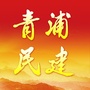 青浦民建ico