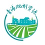 青浦规划资源ico
