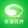 青浦视界ico