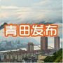 青田发布公众号ico
