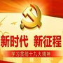 清新台头ico