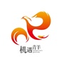 机遇青羊ico