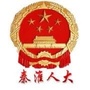 秦淮人大ico