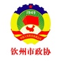 钦州市政协ico