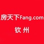 钦州Fangico