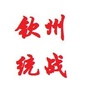 钦州统战ico