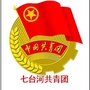 七台河共青团ico