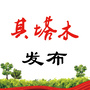 其塔木发布ico