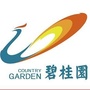 碧桂园在潜江公众号ico