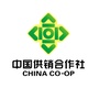 潜江供销ico