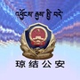 琼结公安ico