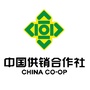 南州供销ico