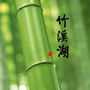 邛崃竹溪湖公众号ico