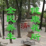 全民养生健康花所ico
