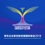 青年企业家创新发展国际峰会ico