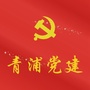 青浦党建ico