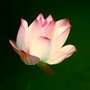 聆听视觉阅读公众号ico