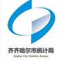 齐齐哈尔市统计局ico