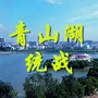 青山湖统战ico