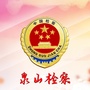 泉山检察ico