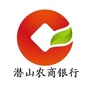 潜山农商银行ico