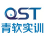 QST微视界ico