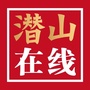 潜山在线ico