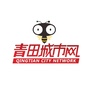 青田城市网ico