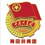青田共青团ico