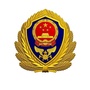 七台河市消防支队ico