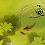 全球钓鱼策略ico
