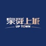 泉舜上城ico