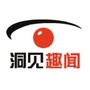 洞见趣闻ico