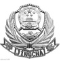 曲周交警公众号ico