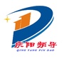 庆阳频导ico