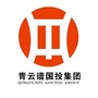 青云谱国投集团ico