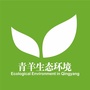 青羊生态环境ico