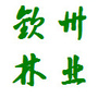 钦州林业ico